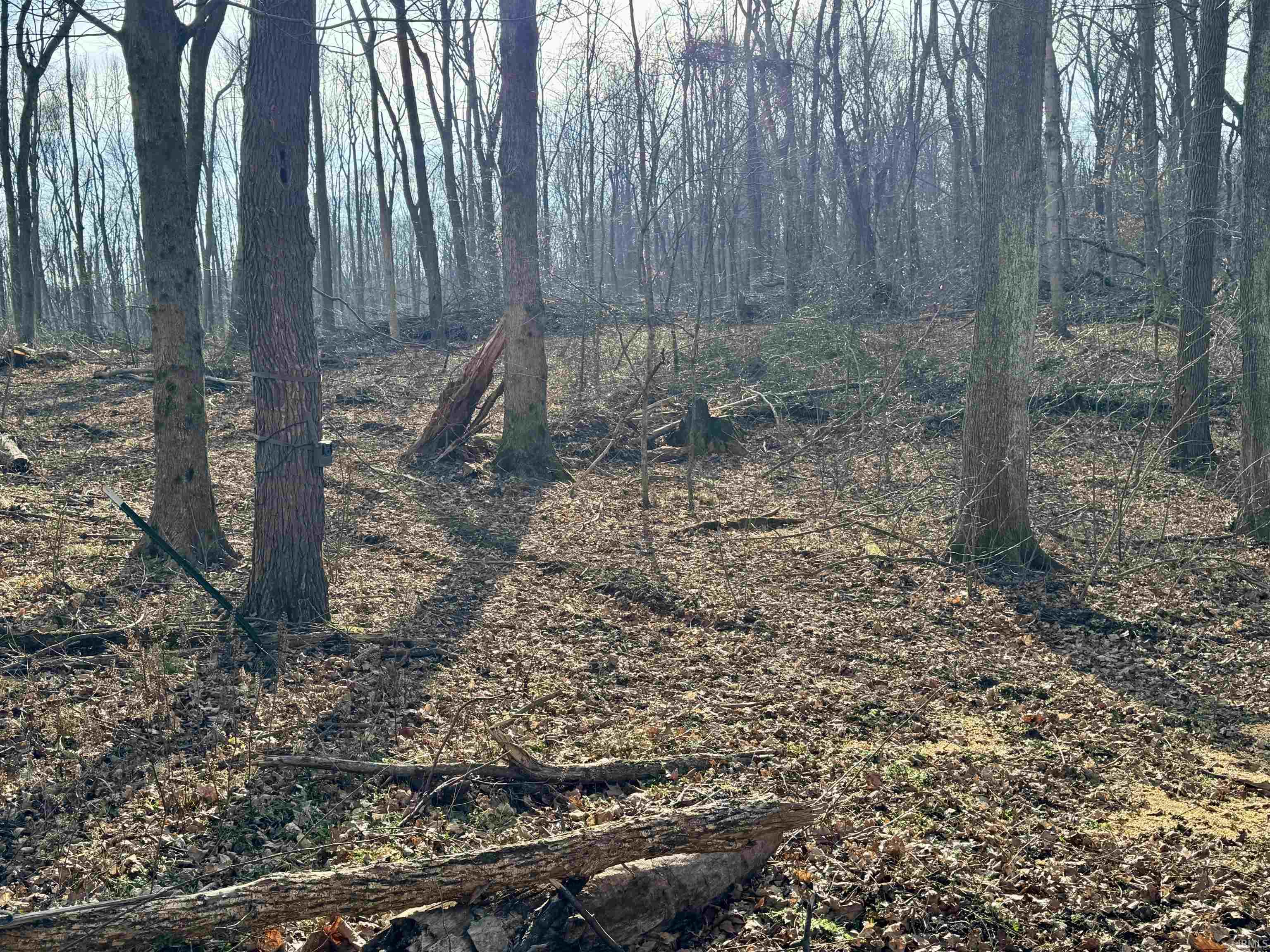 450 South Washington In 47501 Washington, IN 47501 - Photo 28 of 36