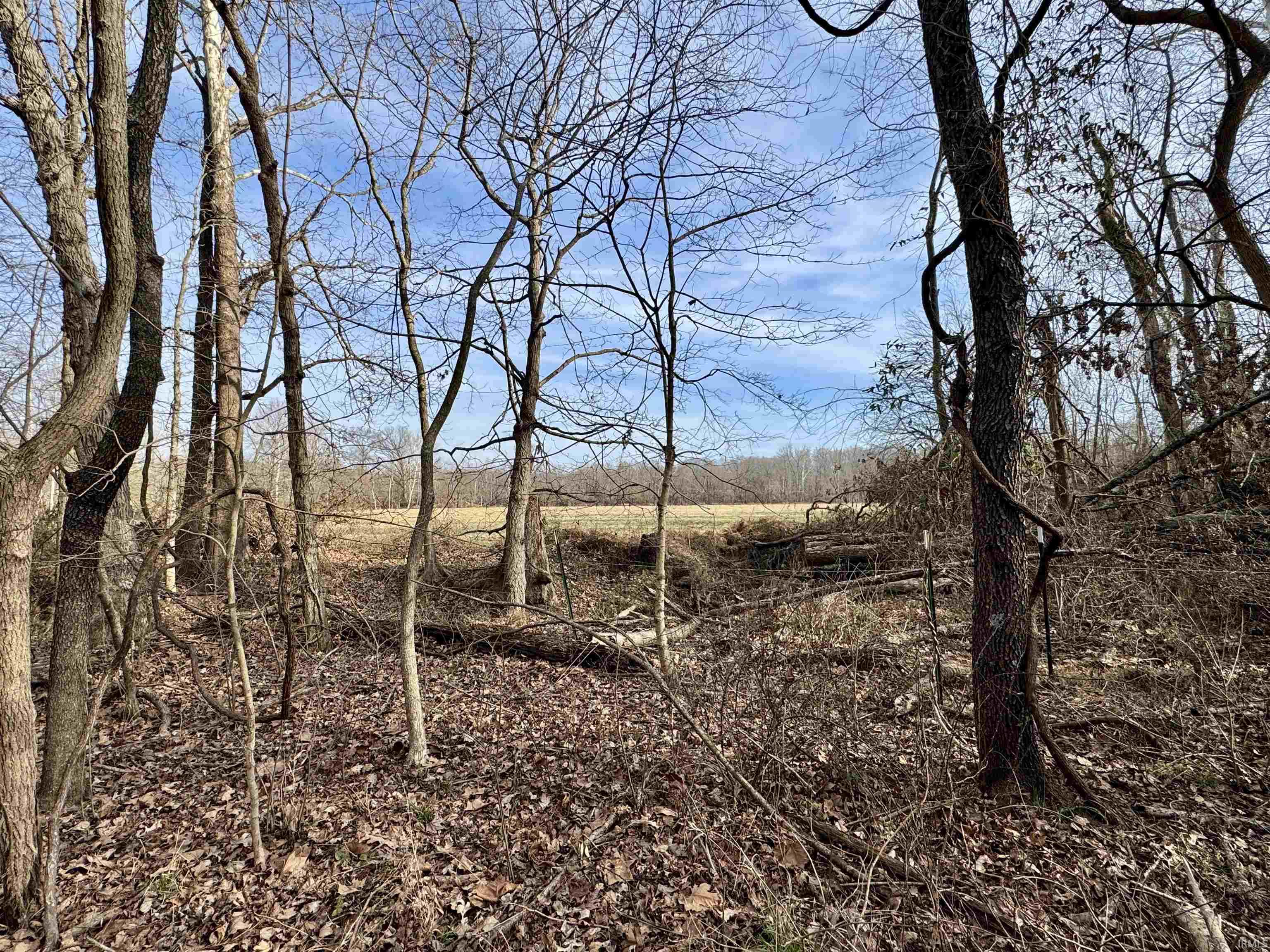 450 South Washington In 47501 Washington, IN 47501 - Photo 32 of 36