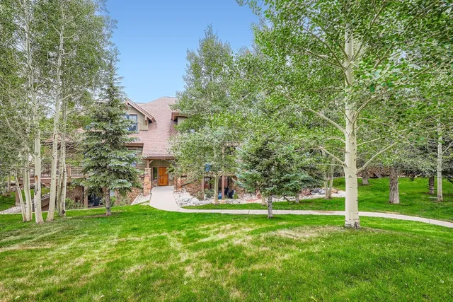a view of a park with large trees