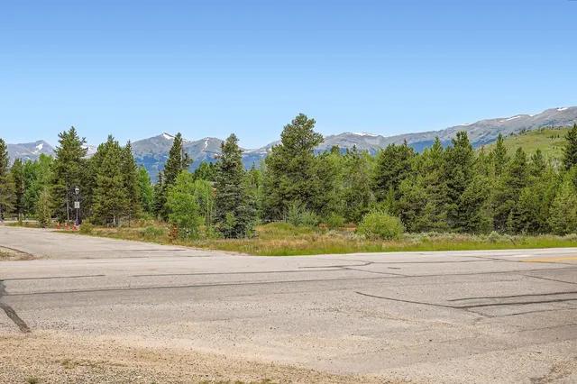 a view of a yard with a trees