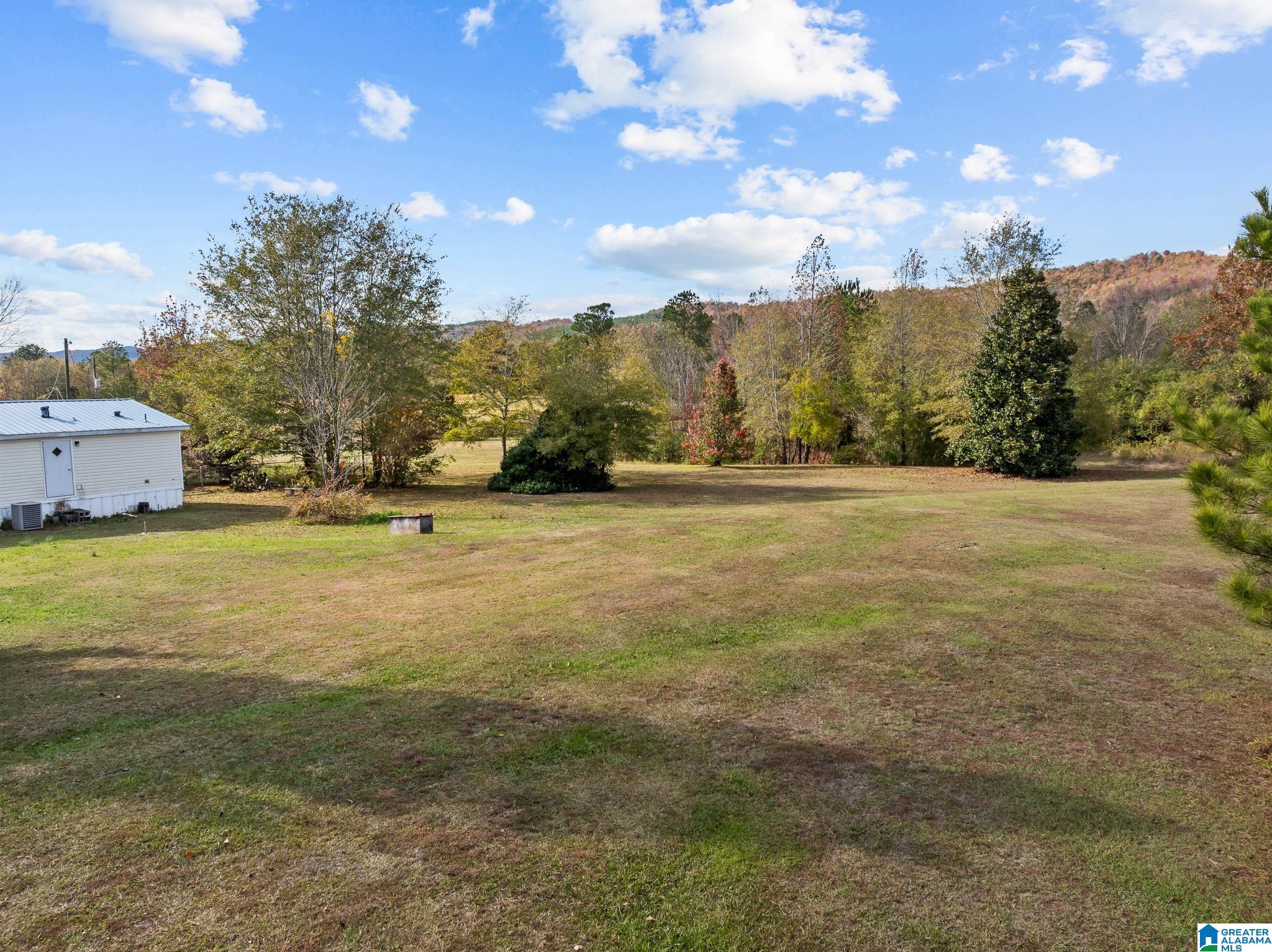 177 Armstrong Road Ashville, AL 35953 - Photo 36 of 38