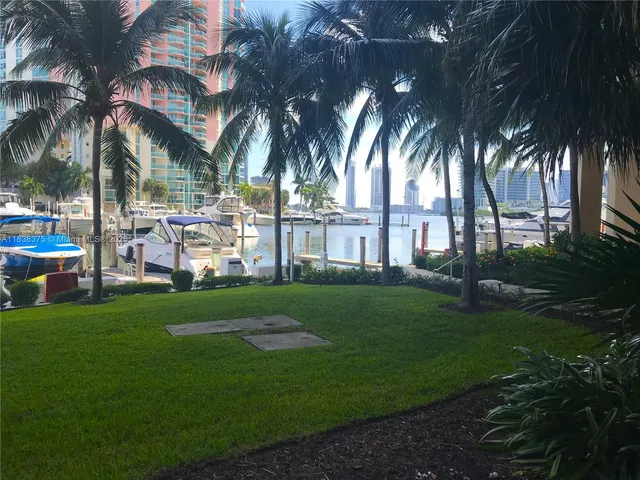 a view of a park that has a large tree