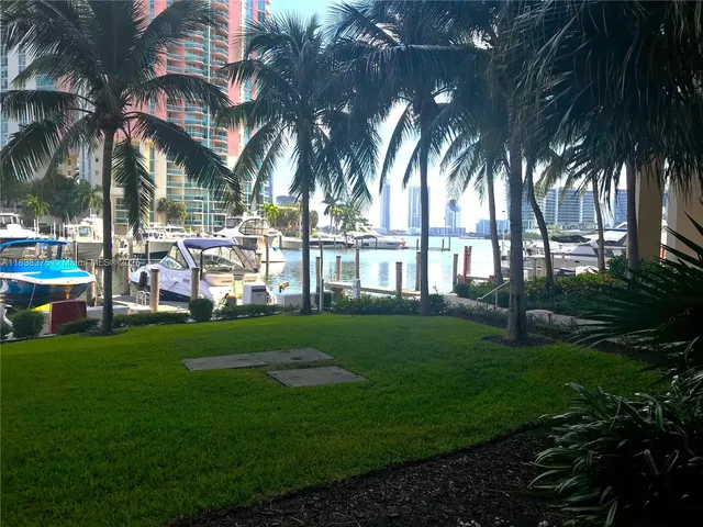 a view of a yard from a window