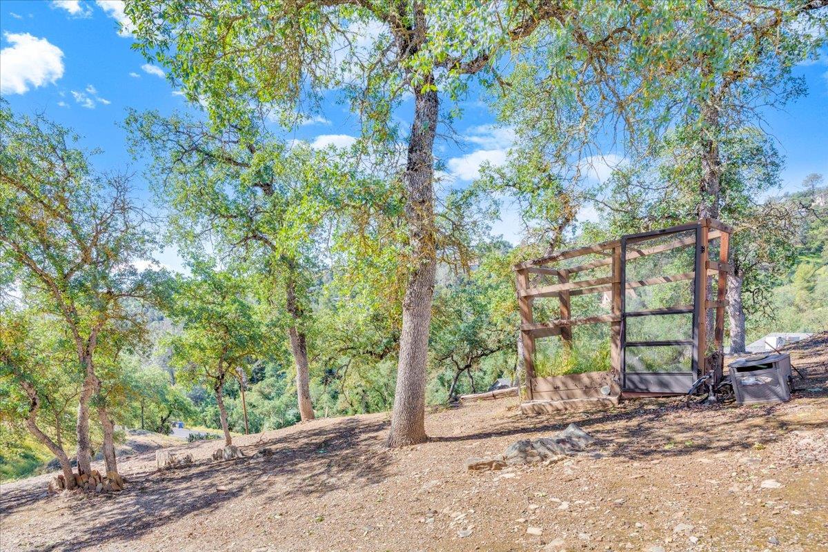 4248 Council Trail Copperopolis, CA 95228 - Photo 69 of 93