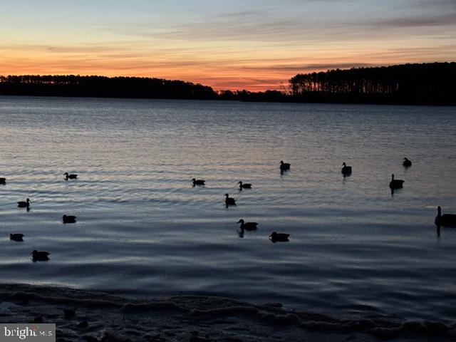 0 Cassons Neck Road Cambridge, MD 21613 - Photo 5 of 11 Gallery Image 5