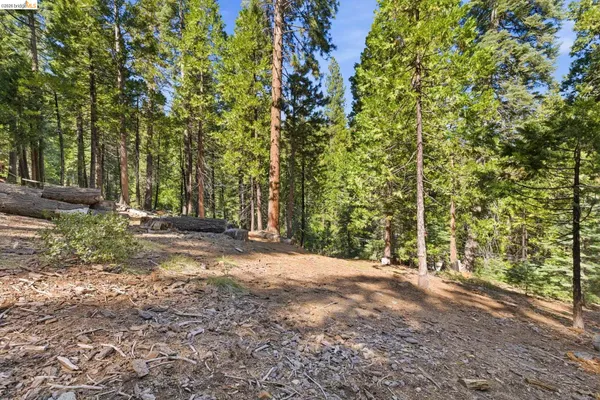 $29,500 | 388 Kerns, Long Barn, CA 95335