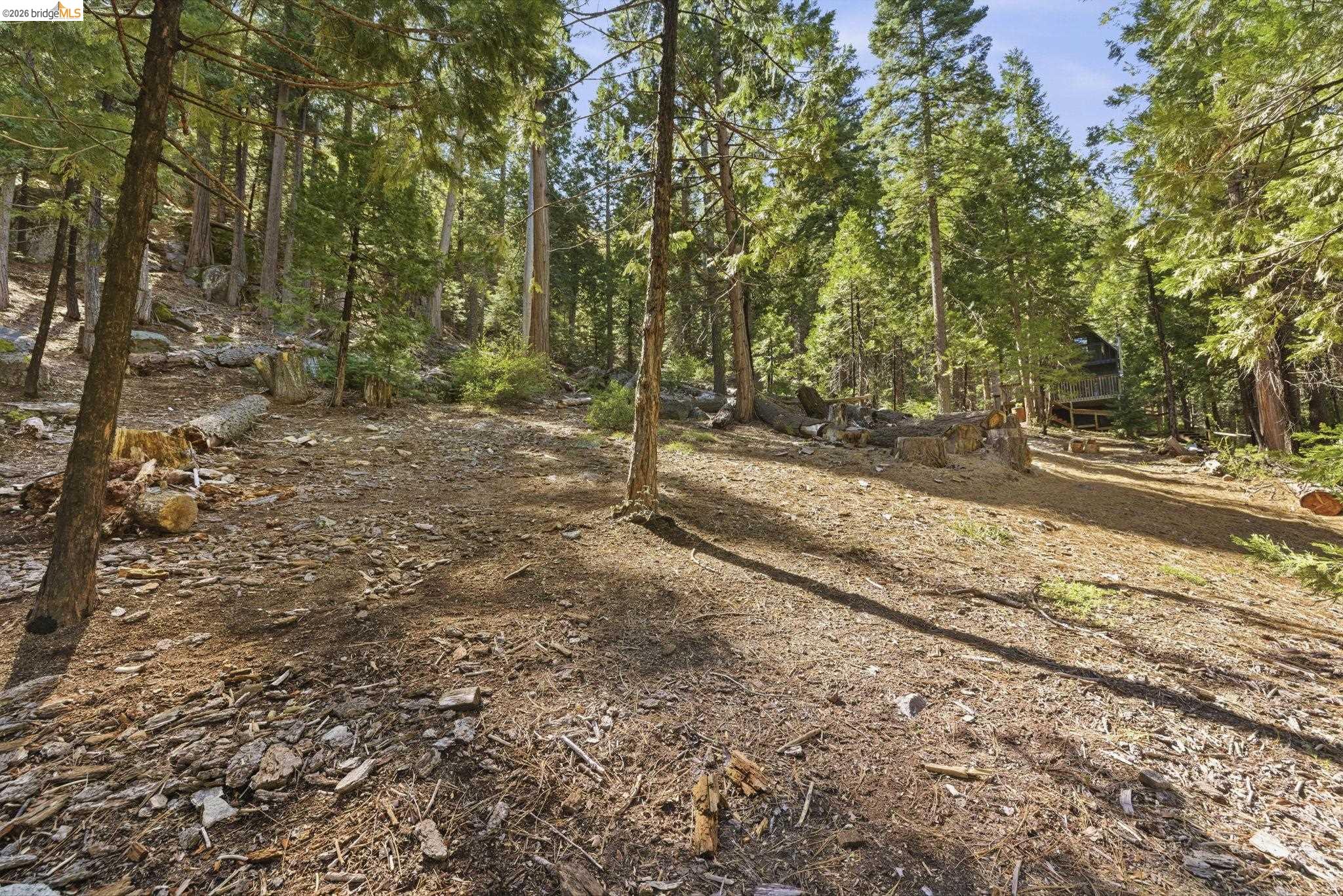 388 Kerns Long Barn, CA 95335 - Photo 11 of 12 a view of a yard with plants and trees
