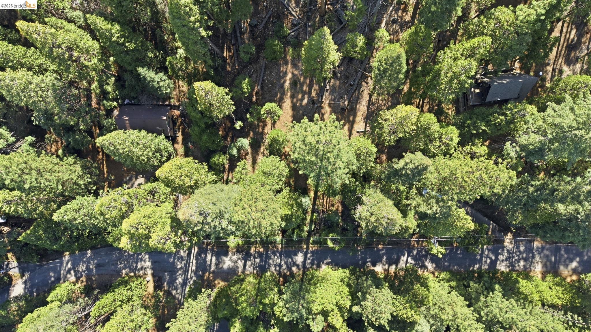 388 Kerns Long Barn, CA 95335 - Photo 12 of 12 a plant that is in a garden