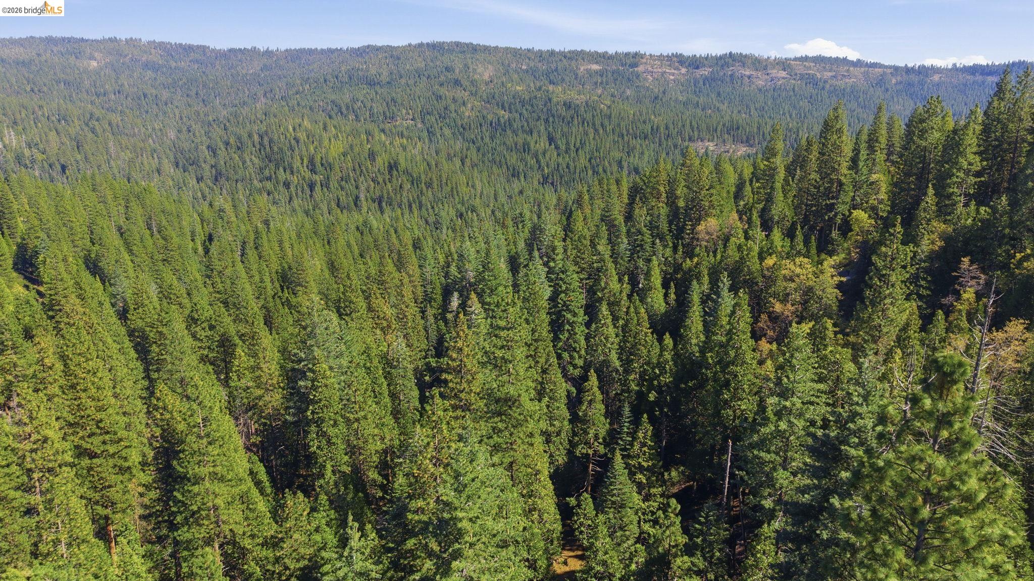 388 Kerns Long Barn, CA 95335 - Photo 2 of 12 a view of a lush green forest with trees and some houses