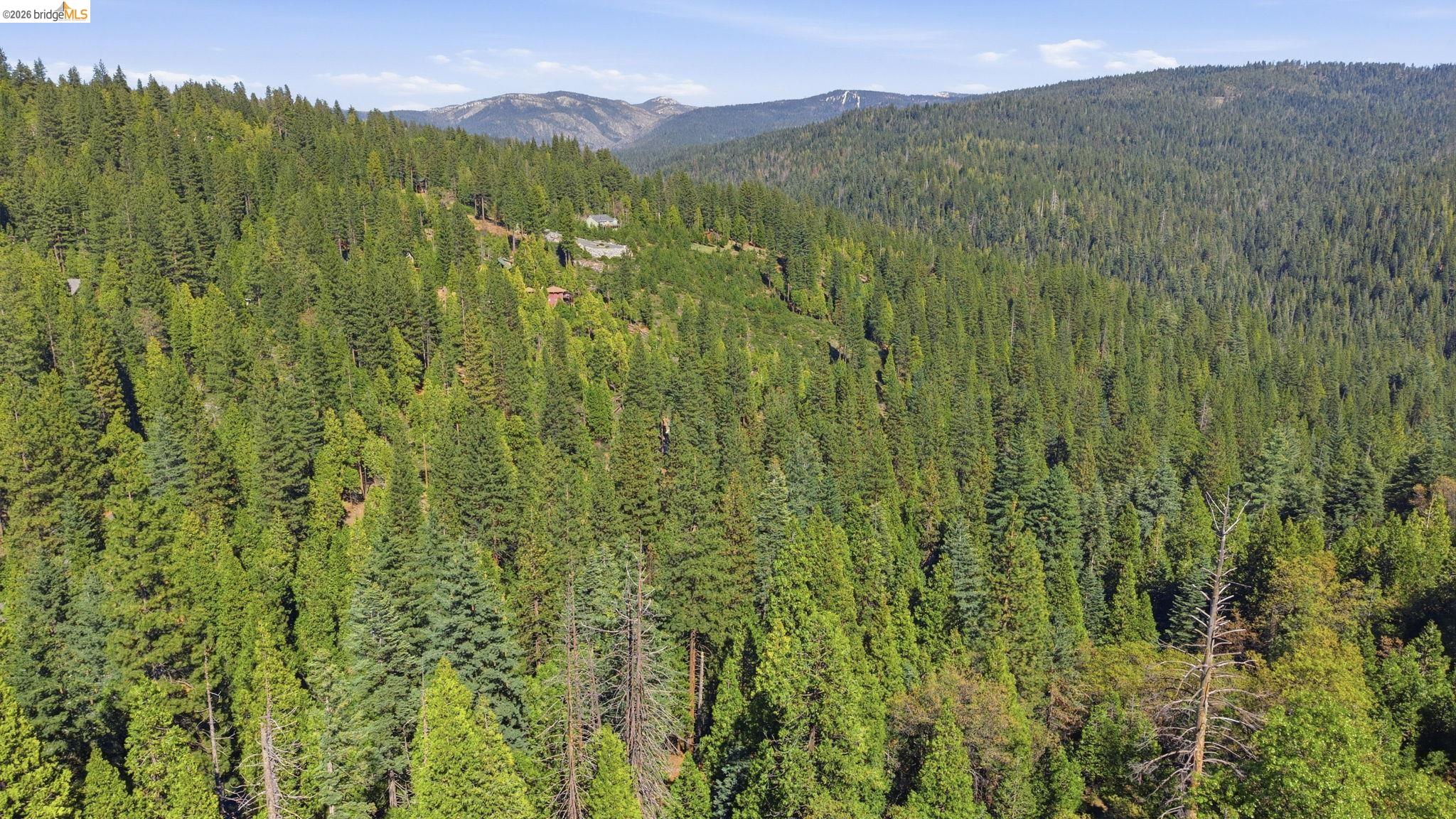 388 Kerns Long Barn, CA 95335 - Photo 4 of 12 a view of a lush green forest with lush green forest