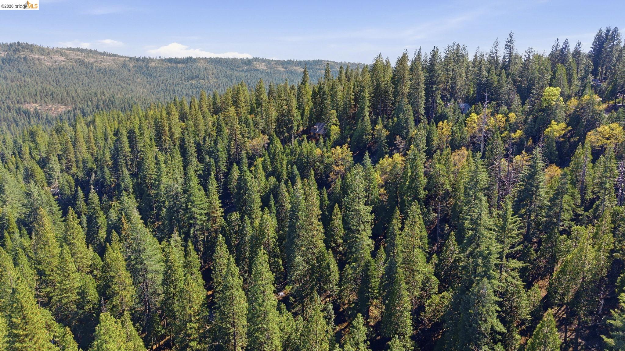 388 Kerns Long Barn, CA 95335 - Photo 7 of 12 a view of a lush green forest with a lake