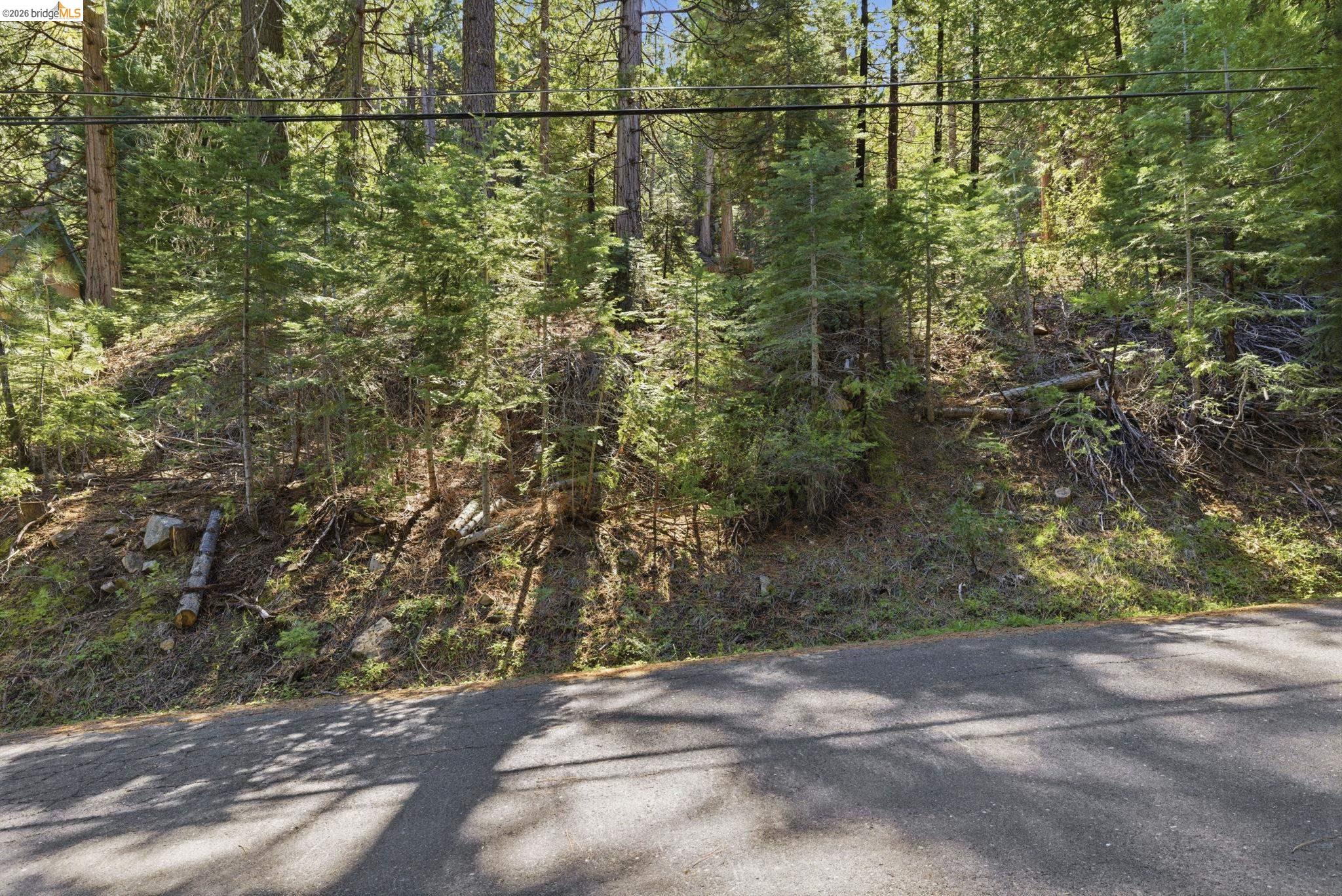 388 Kerns Long Barn, CA 95335 - Photo 8 of 12 a view of a yard