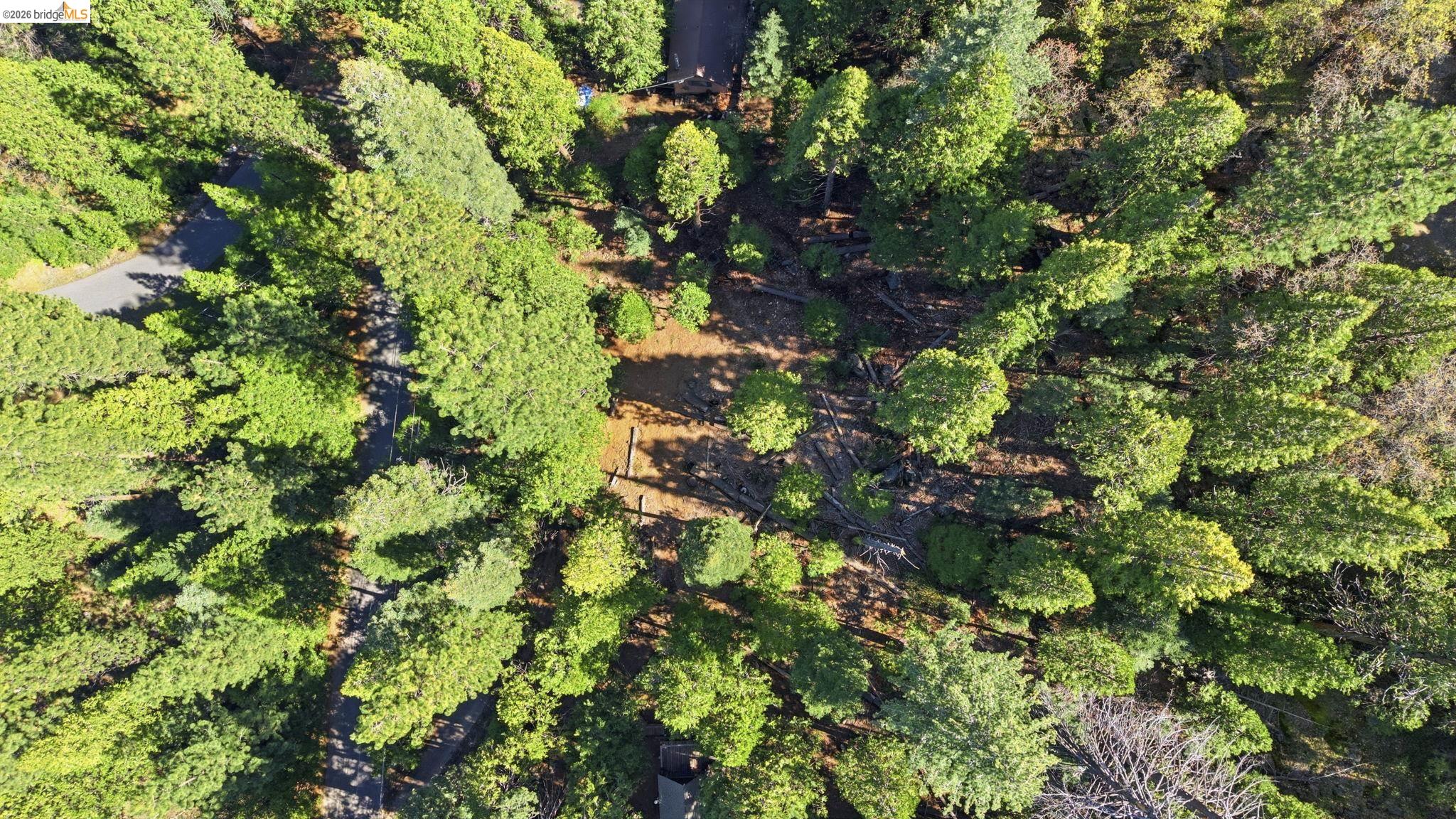 388 Kerns Long Barn, CA 95335 - Photo 10 of 12 a backyard of a house