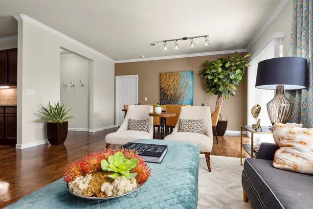 a living room with furniture and a potted plant