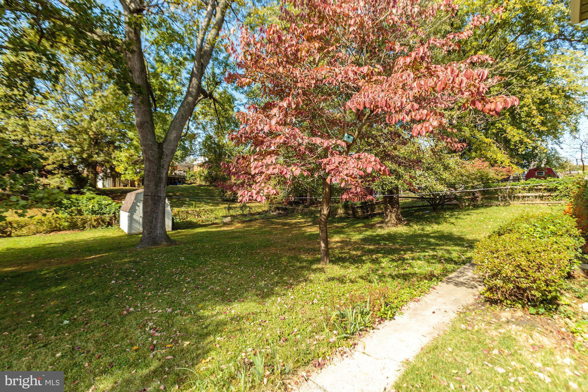 11808 Indigo Road Silver Spring, MD 20906 - Photo 26 of 30 Spacious yard