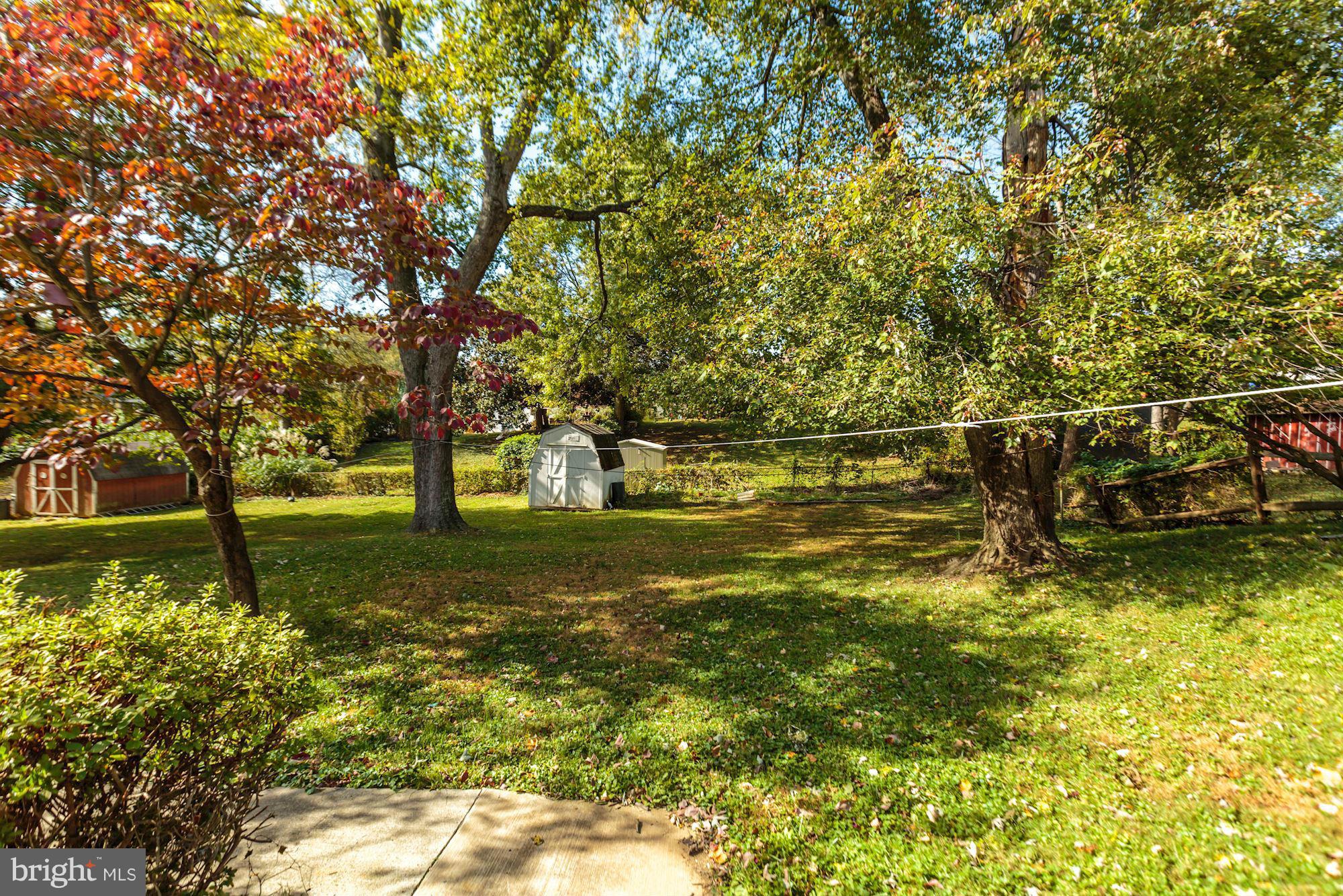 11808 Indigo Road Silver Spring, MD 20906 - Photo 27 of 30 Spacious yard