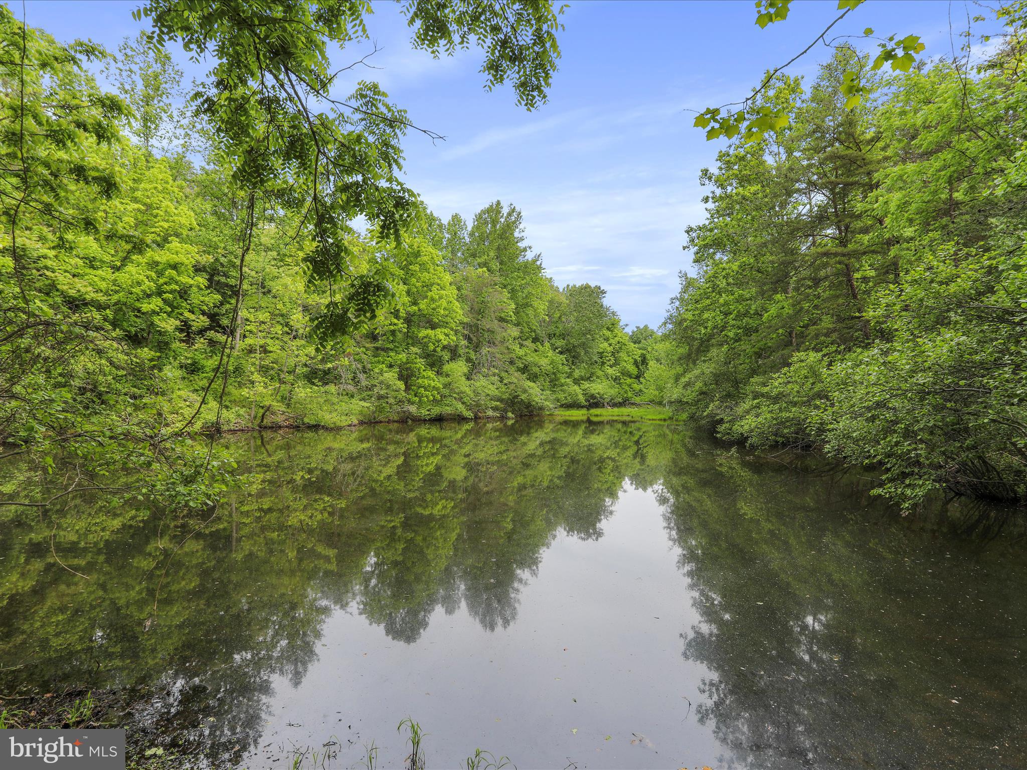 11035 Bennie Duncan Road Frederick, MD 21701 - Photo 78 of 81 Gallery Image 78