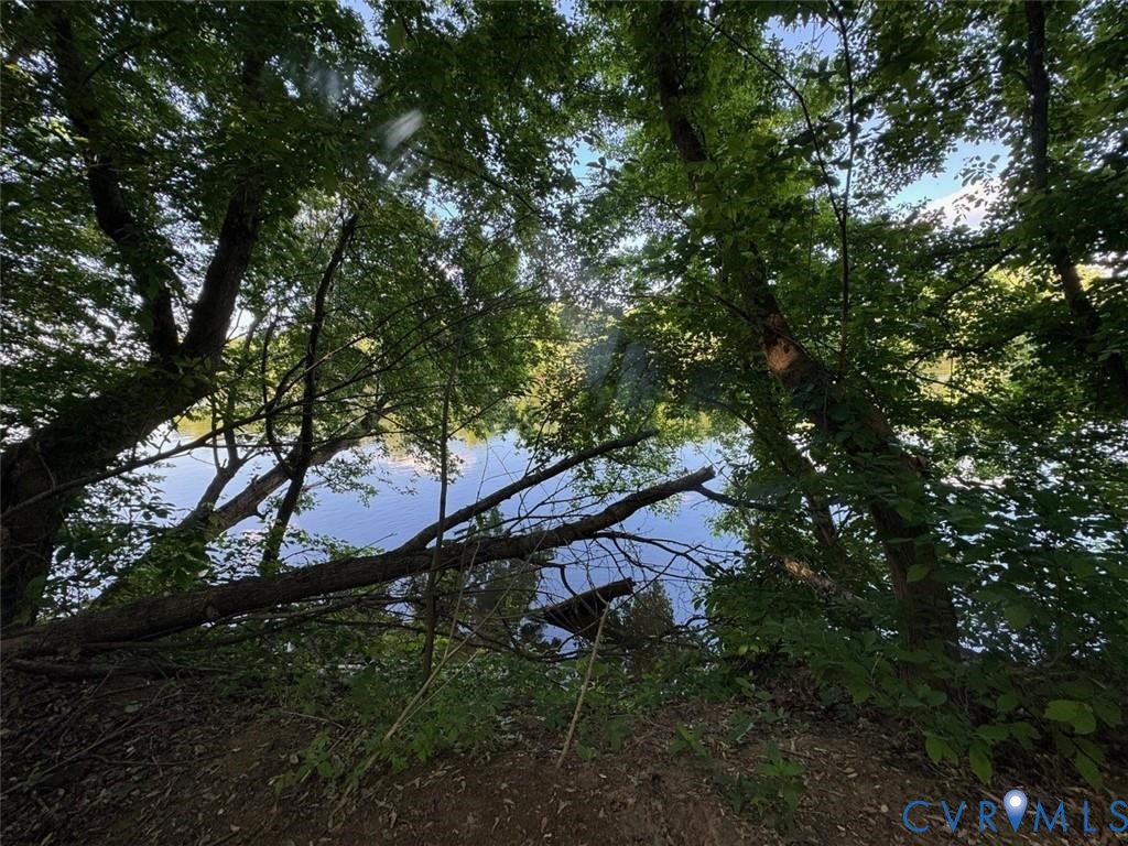 176 Ampthill Road Cartersville, VA 23027 - Photo 23 of 25 a backyard of a house with lots of green space