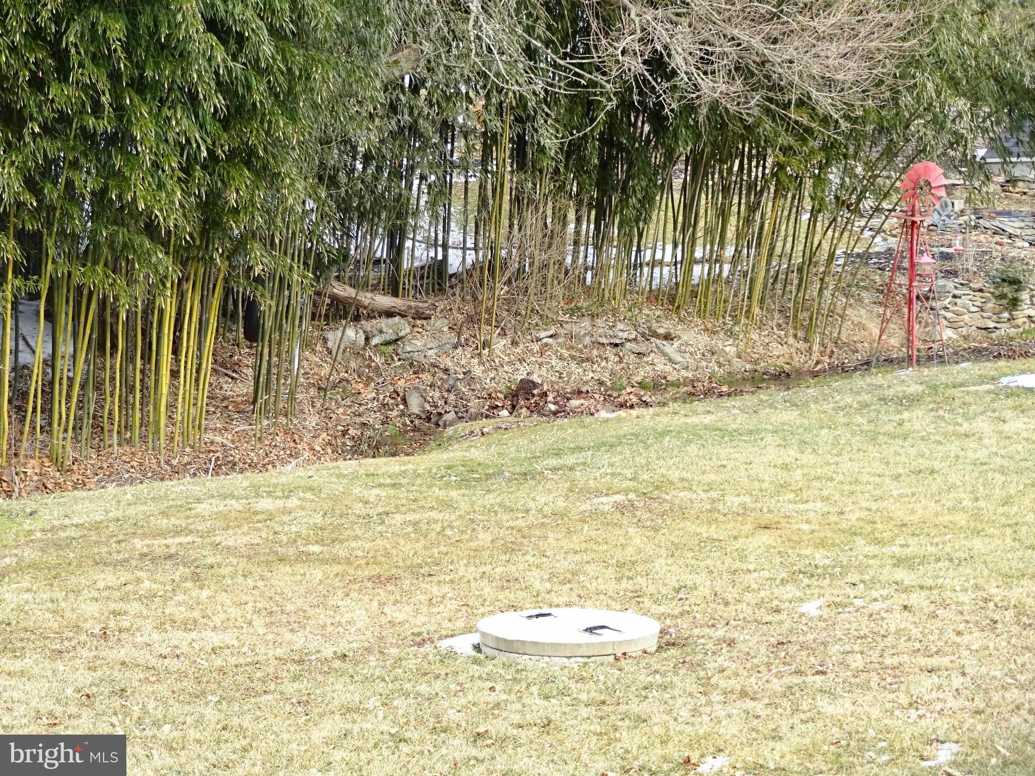 5487 Lehman Road Spring Grove, PA 17362 - Photo 50 of 51 a view of a yard with an trees