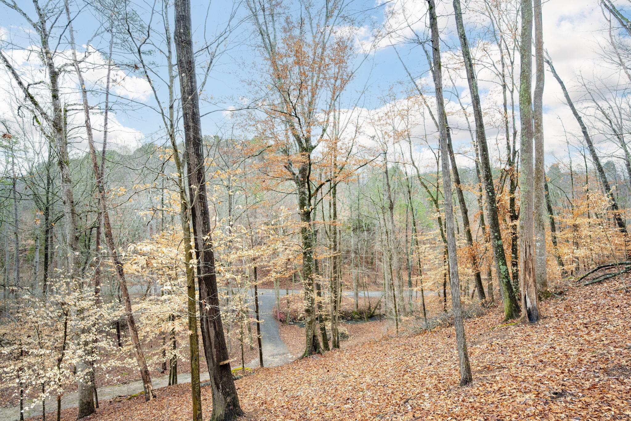 151 Hail Hollow Road Decatur, TN 37322 - Photo 34 of 58 34-web-or-mls-DSC_6506