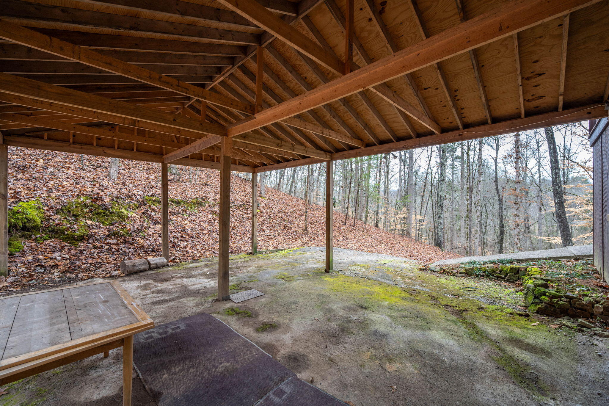 151 Hail Hollow Road Decatur, TN 37322 - Photo 35 of 58 35-web-or-mls-DSC_6529