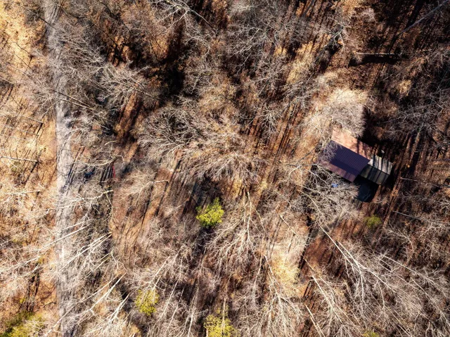 $385,000 | 151 Hail Hollow Road, Decatur, TN 37322