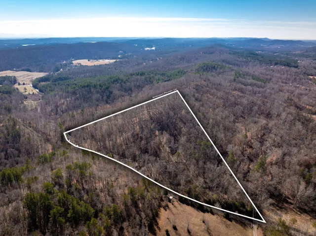 $385,000 | 151 Hail Hollow Road, Decatur, TN 37322