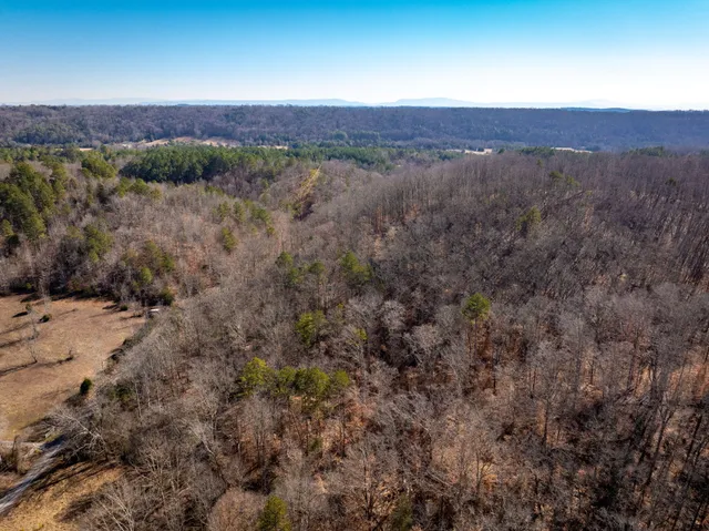 $385,000 | 151 Hail Hollow Road, Decatur, TN 37322