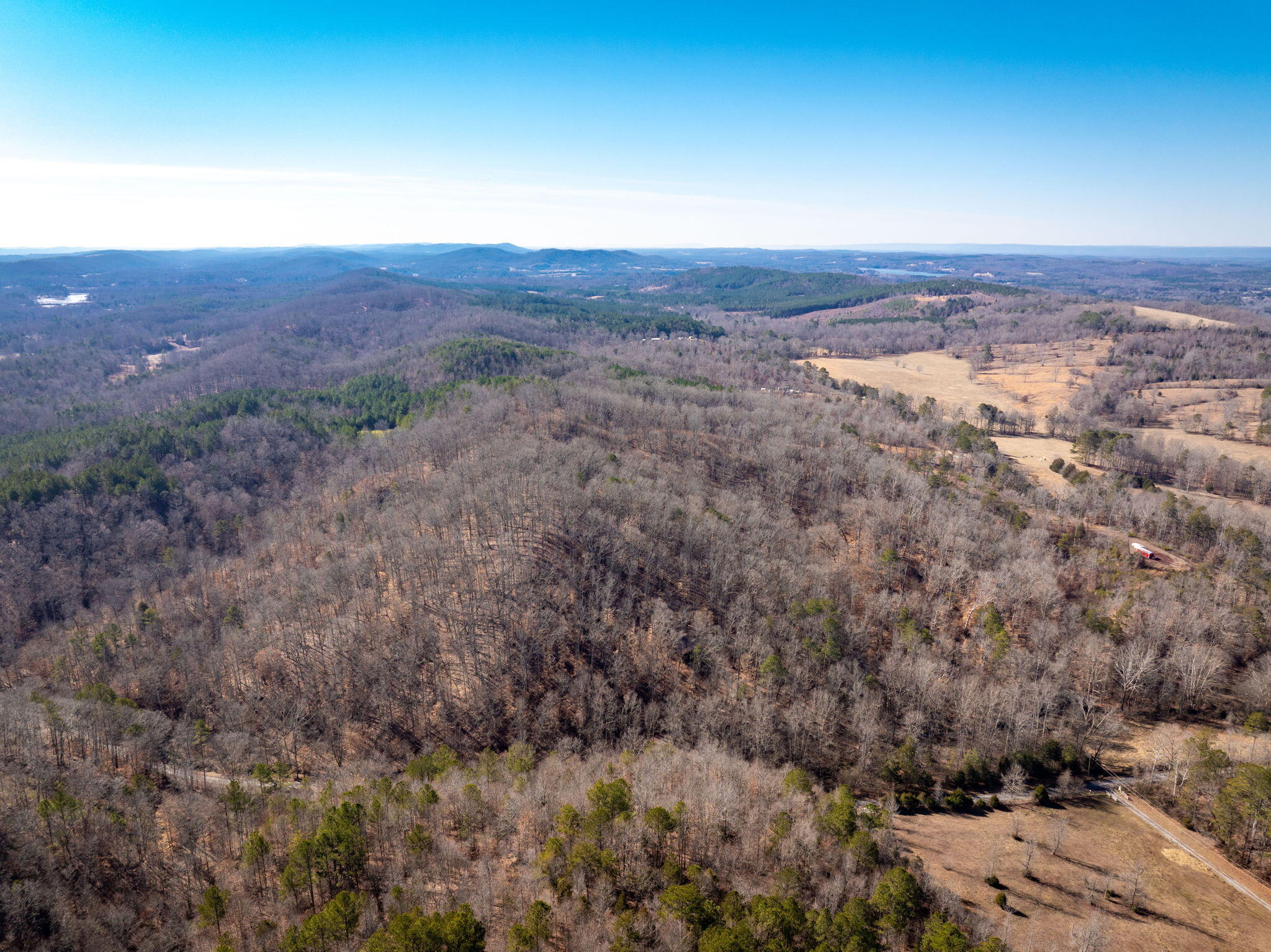 151 Hail Hollow Road Decatur, TN 37322 - Photo 51 of 58 51-web-or-mls-DJI_20250128120409_0980_D-
