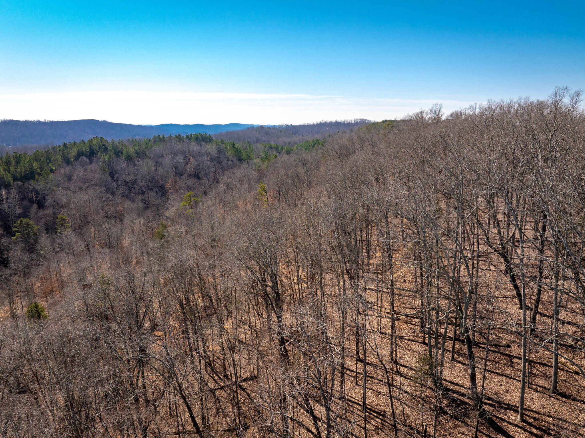 151 Hail Hollow Road Decatur, TN 37322 - Photo 53 of 58 53-web-or-mls-DJI_20250128120606_0985_D-