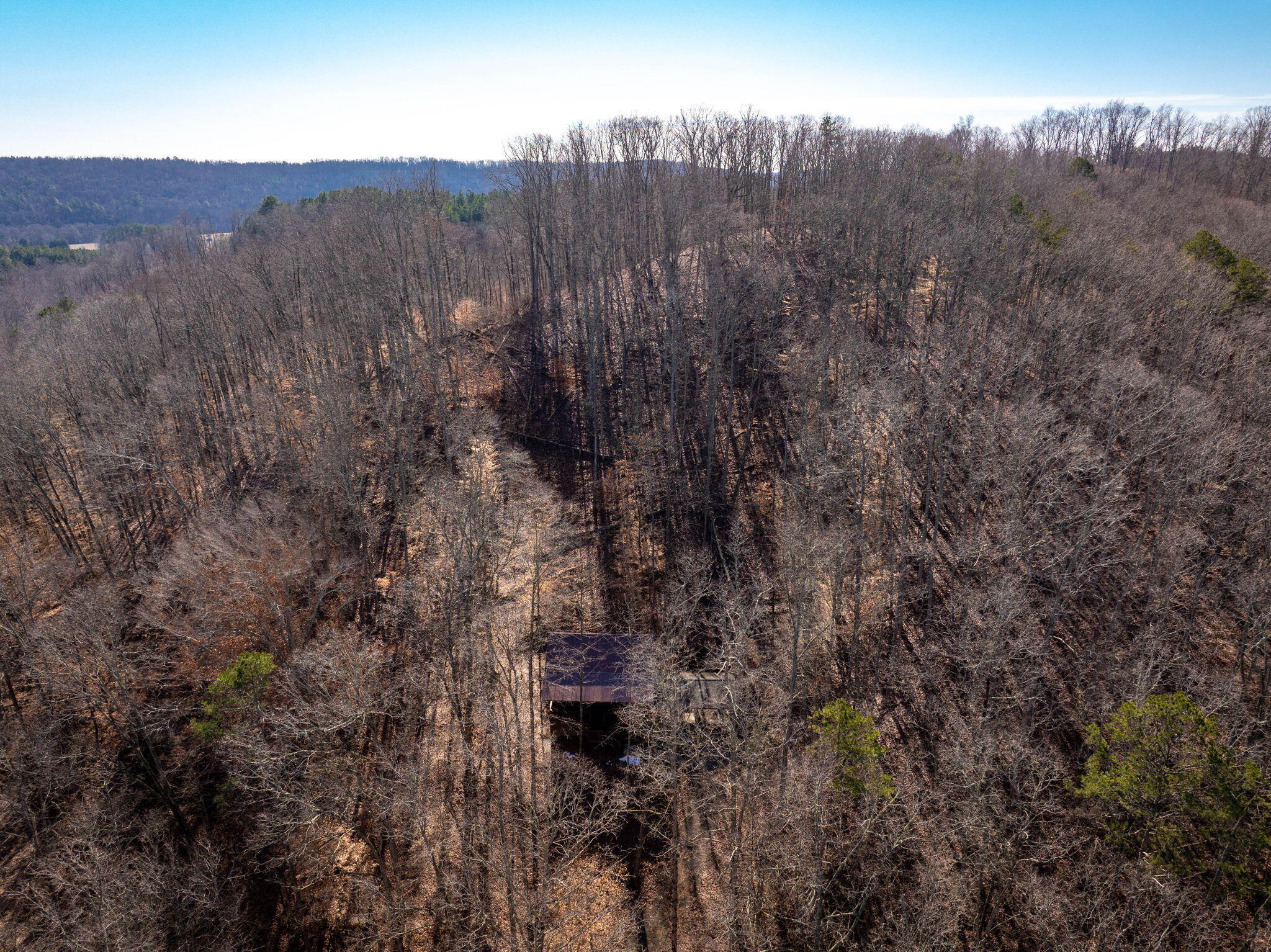 151 Hail Hollow Road Decatur, TN 37322 - Photo 54 of 58 54-web-or-mls-DJI_20250128120521_0983_D-