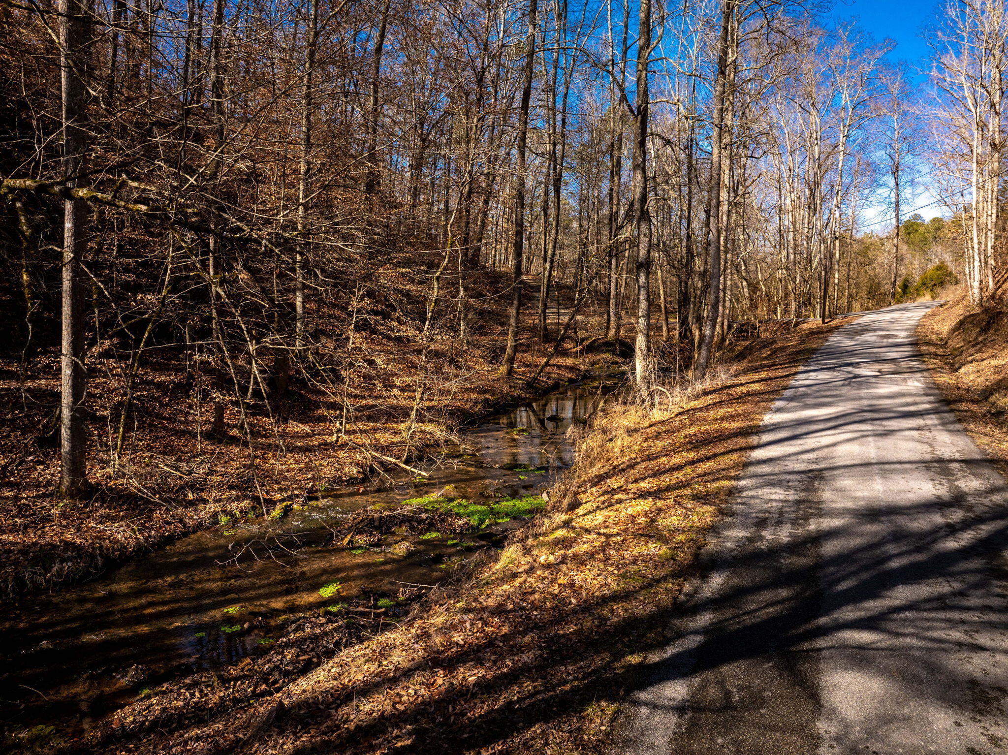 151 Hail Hollow Road Decatur, TN 37322 - Photo 56 of 58 56-web-or-mls-DJI_20250128120746_0987_D-