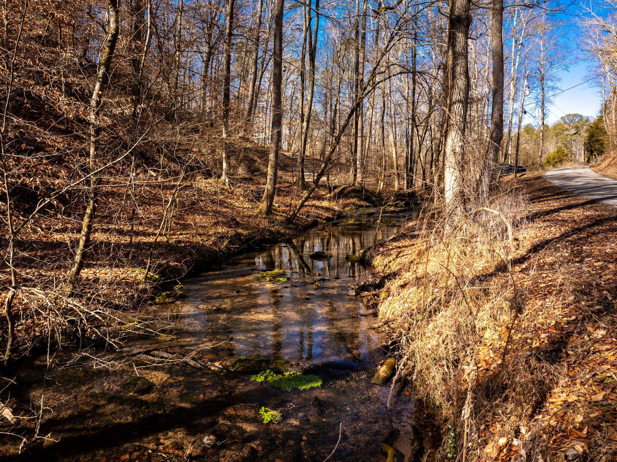 151 Hail Hollow Road Decatur, TN 37322 - Photo 58 of 58 58-web-or-mls-DJI_20250128120758_0988_D-
