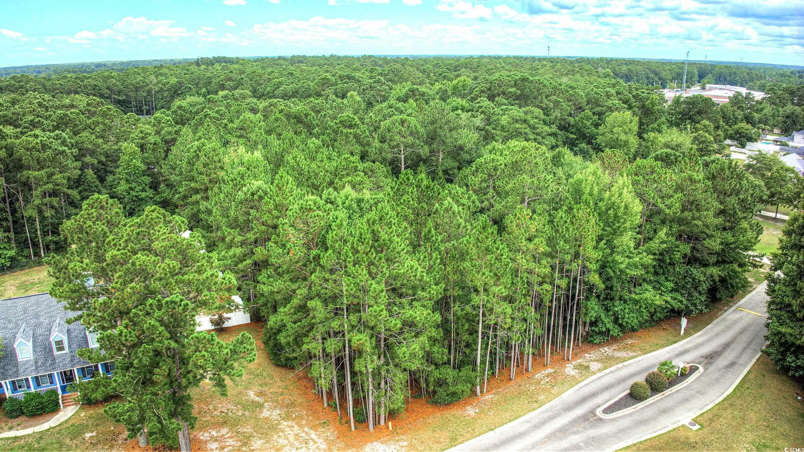 2435 Hunters Trail Myrtle Beach, SC 29588 - Photo 1 of 14 Bird's eye view