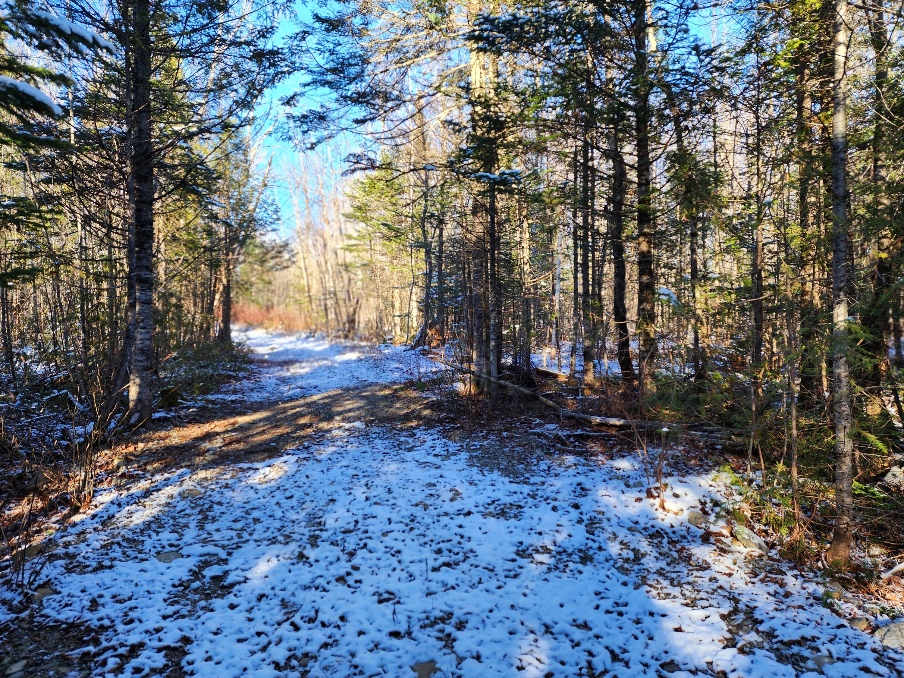 454 Smyrna Center Road Smyrna, ME 04780 - Photo 3 of 5 20231121_131607