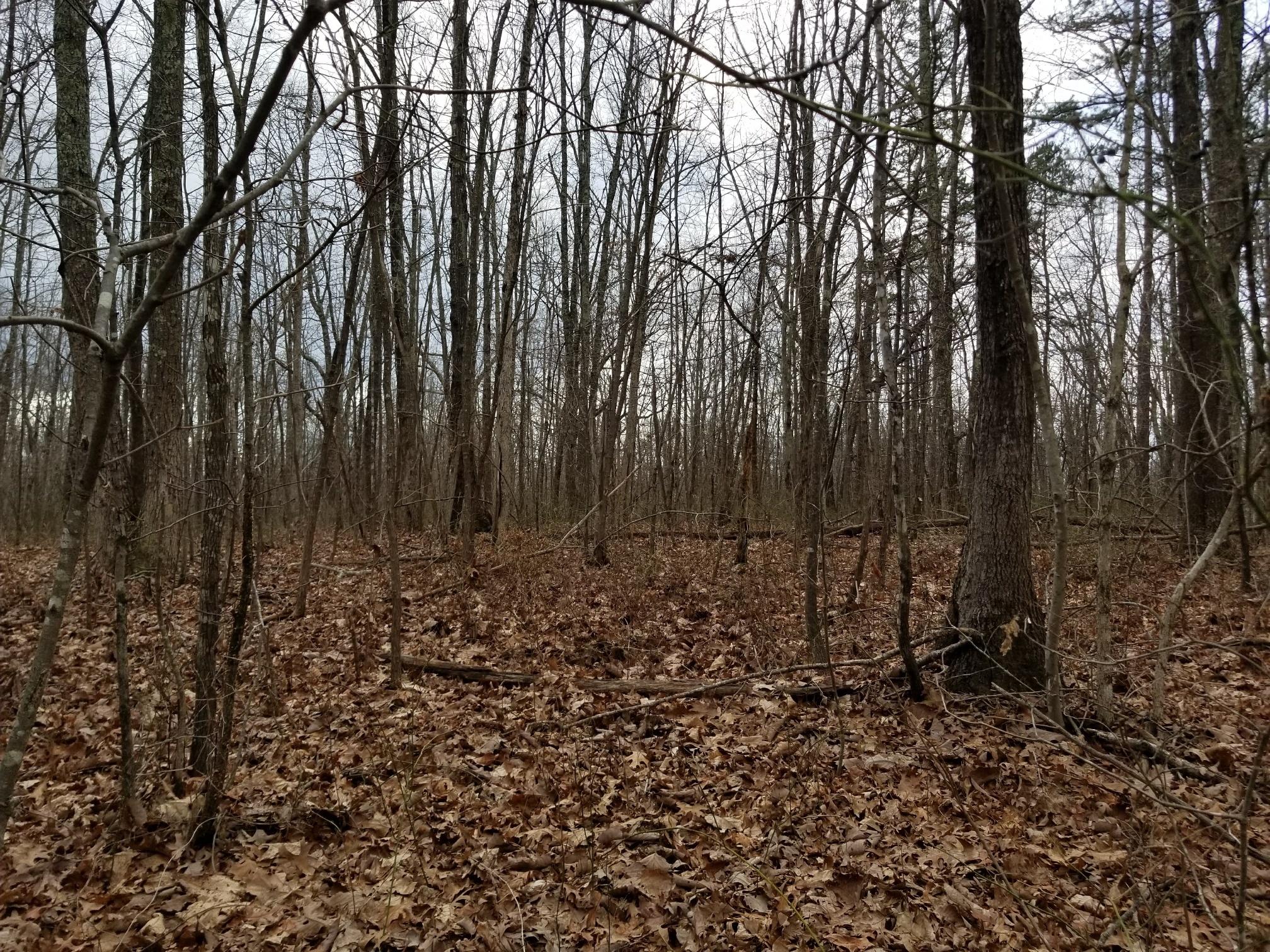 10.34 Stagecoach Road Sewanee, TN 37375 - Photo 1 of 10 20180219_135324_resized