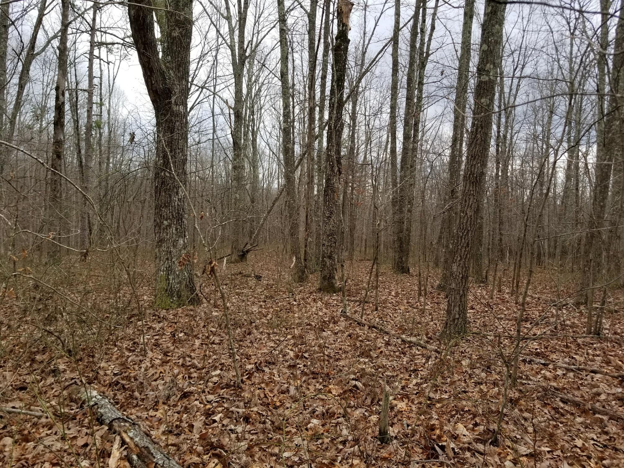 10.34 Stagecoach Road Sewanee, TN 37375 - Photo 3 of 10 20180219_135424_resized (1)