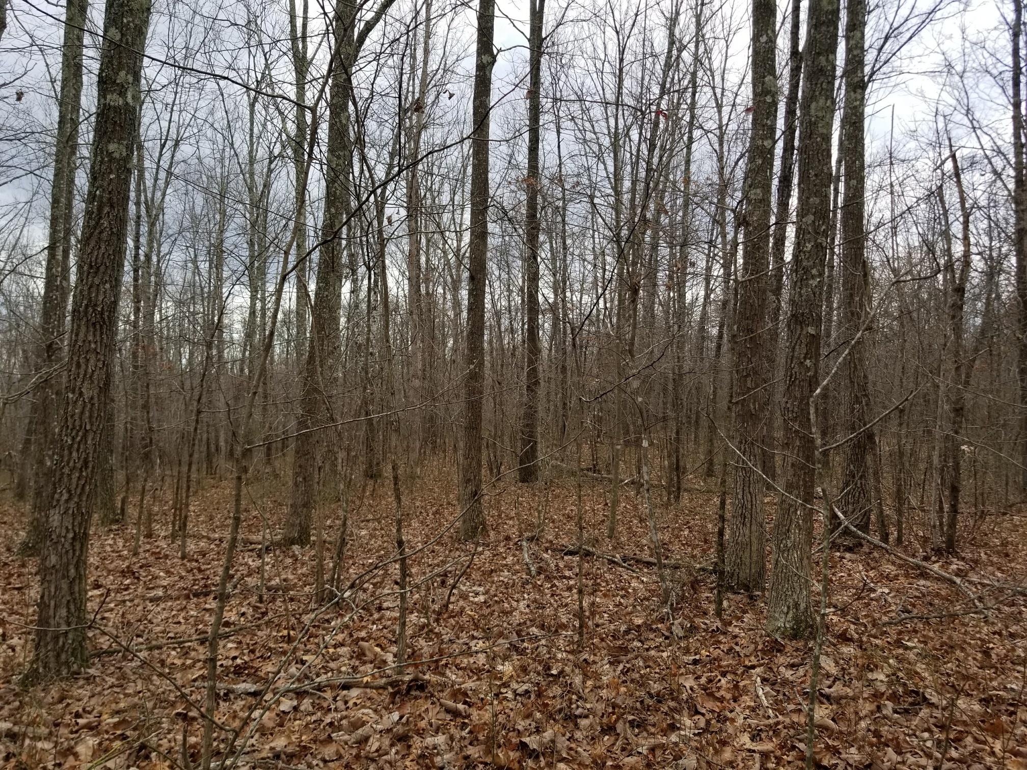 10.34 Stagecoach Road Sewanee, TN 37375 - Photo 4 of 10 20180219_135427_resized