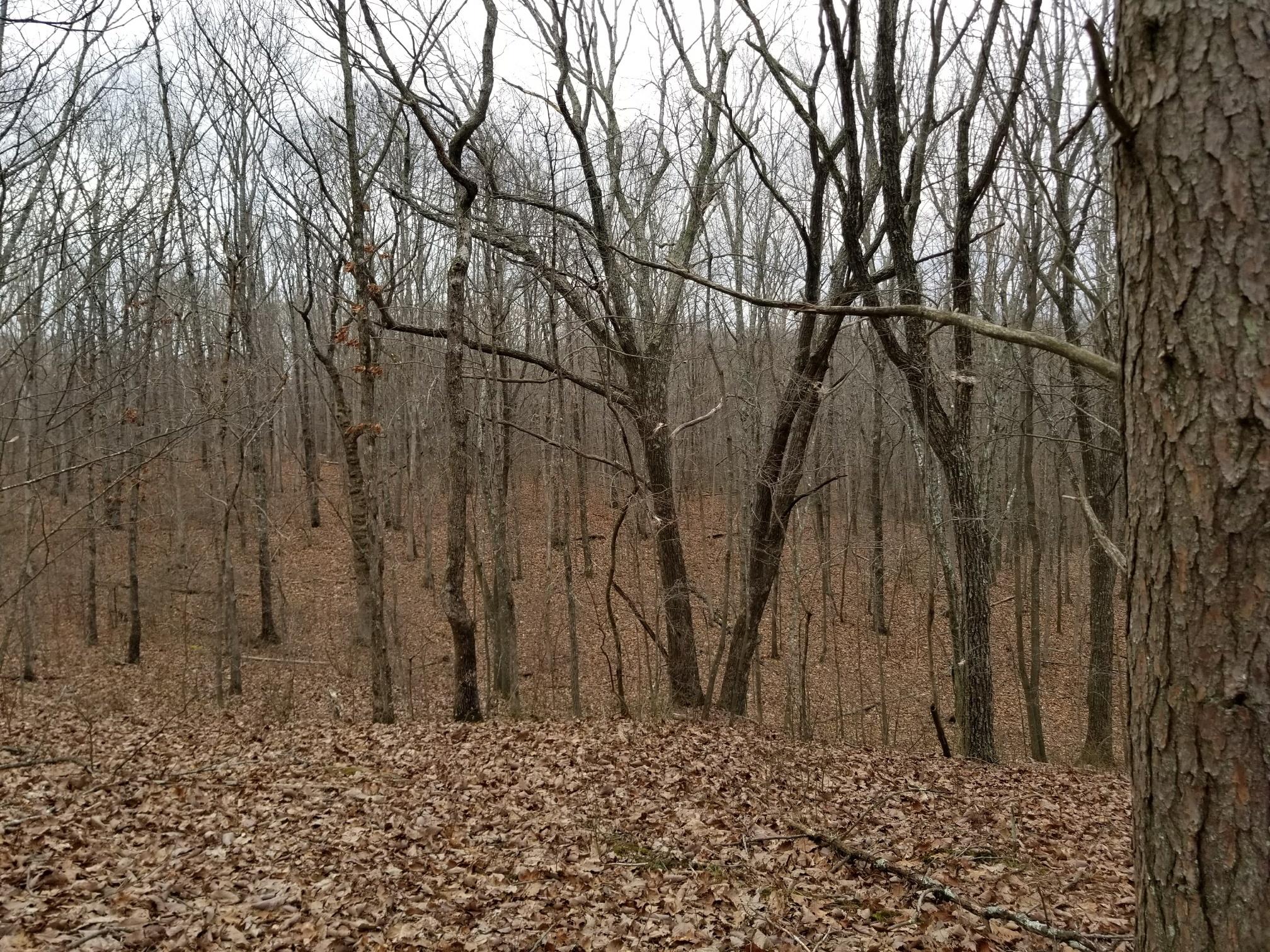 10.34 Stagecoach Road Sewanee, TN 37375 - Photo 7 of 10 20180219_135612_resized