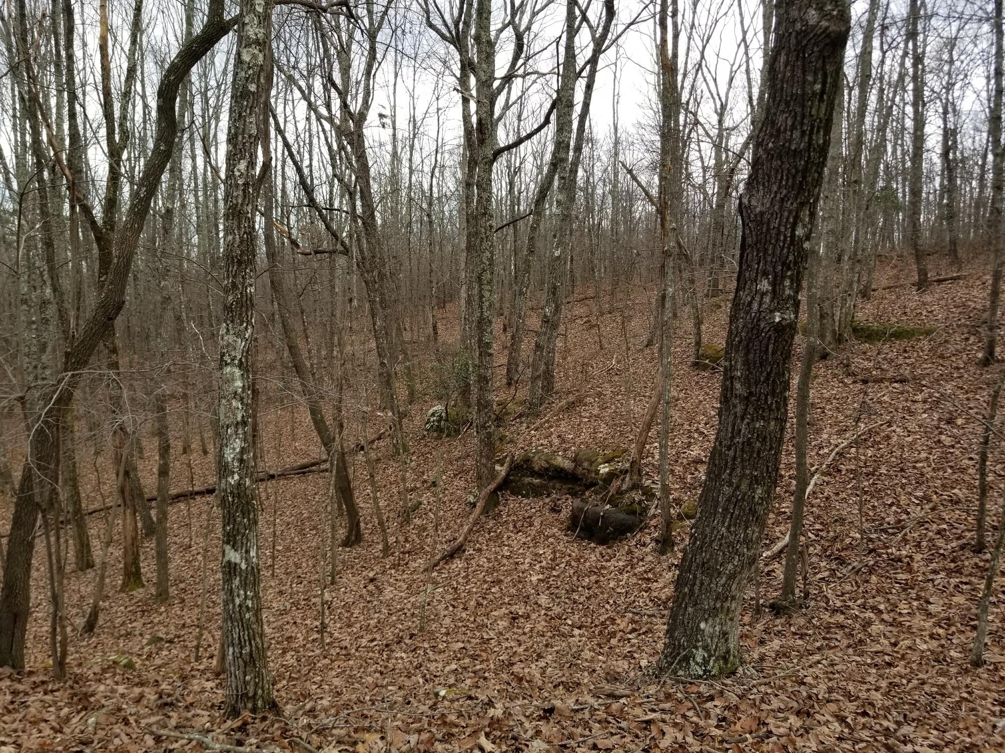 10.34 Stagecoach Road Sewanee, TN 37375 - Photo 8 of 10 20180219_135653_resized
