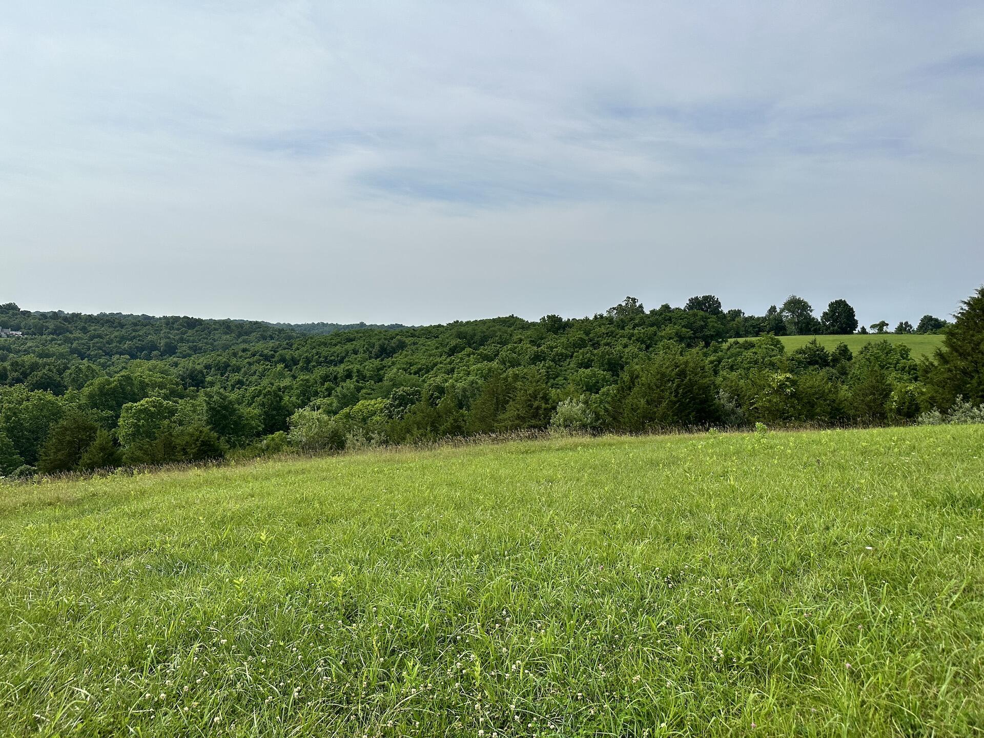 1 Vallandingham Road Dry Ridge, KY 41035 - Photo 16 of 17
