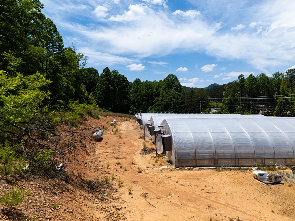 40 Trackrock Gap Road Blairsville, GA 30512 - Photo 10 of 39