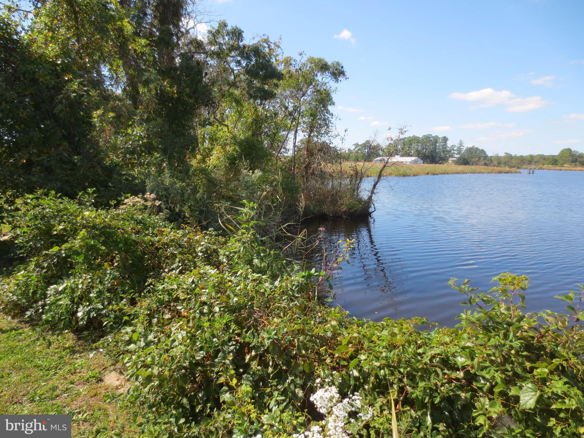 4000 Steele Neck Road Vienna, MD 21869 - Photo 2 of 28 View