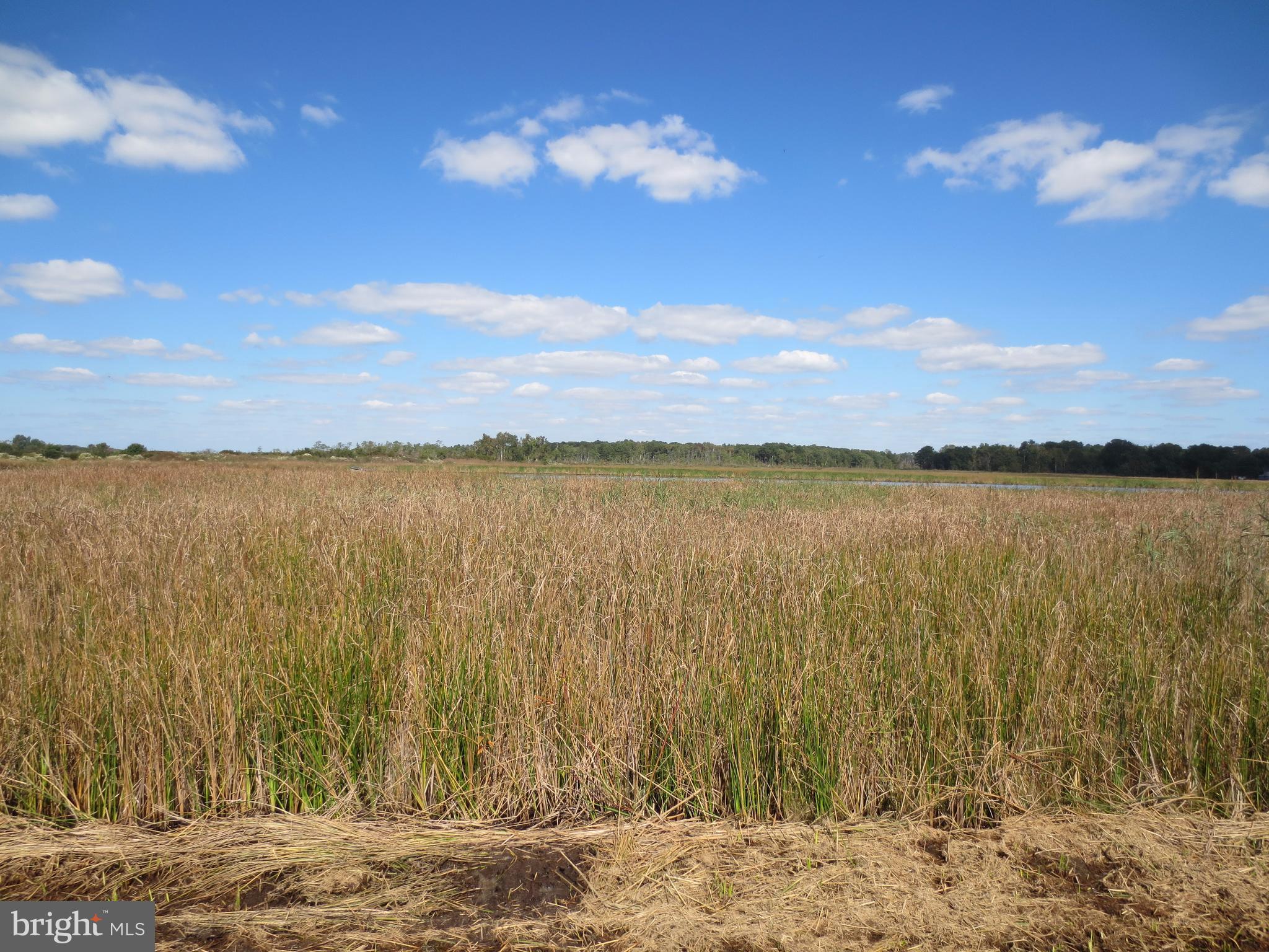 4000 Steele Neck Road Vienna, MD 21869 - Photo 27 of 28 View