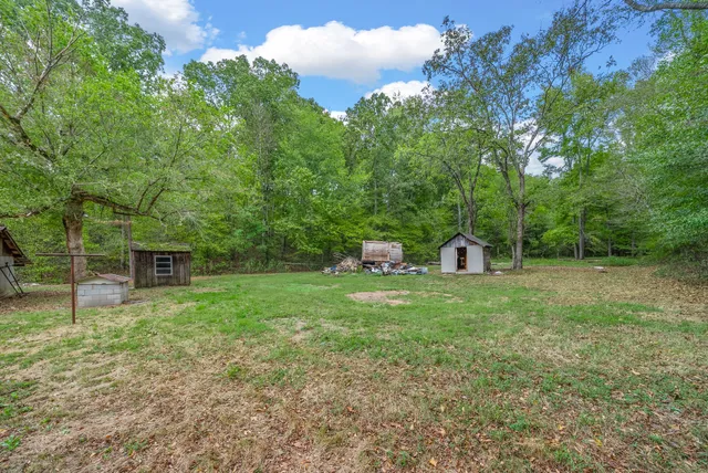 a backyard of a house with lots of green space