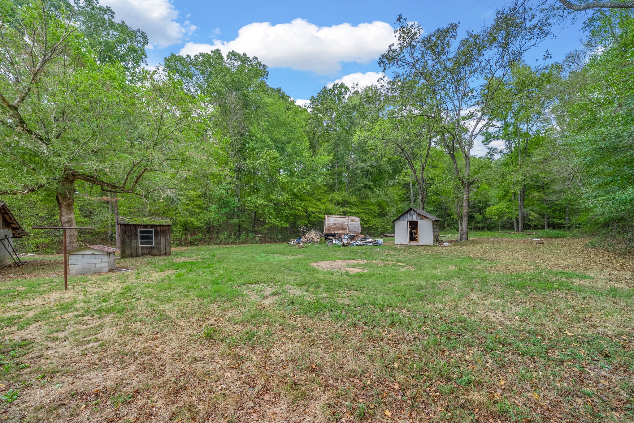 234 Lower Standing Rock Road Dover, TN 37058 - Photo 33 of 41 a backyard of a house with lots of green space