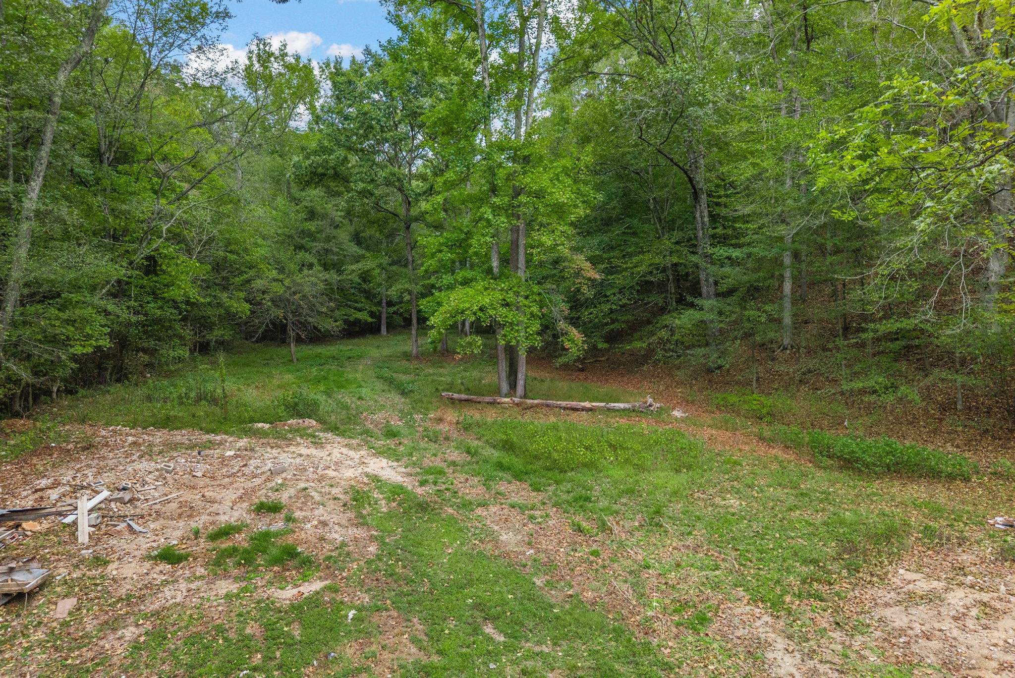234 Lower Standing Rock Road Dover, TN 37058 - Photo 34 of 41 a view of a forest with a trees