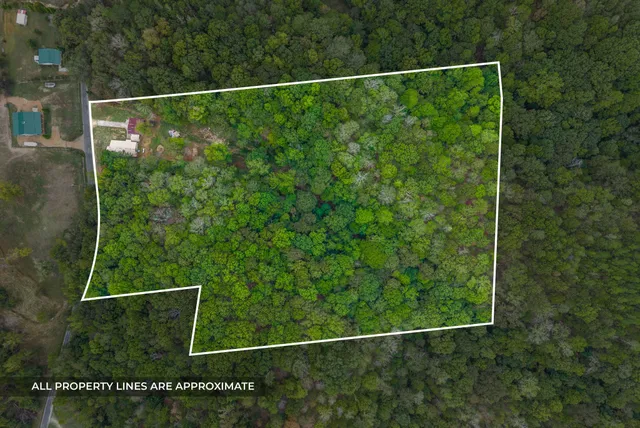 a view of a yard from a window