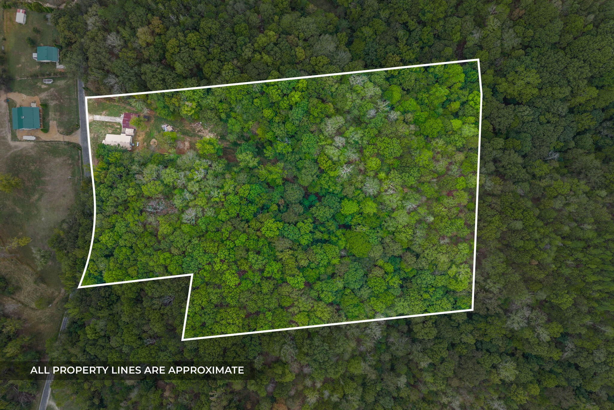 234 Lower Standing Rock Road Dover, TN 37058 - Photo 37 of 41 a view of a yard from a window