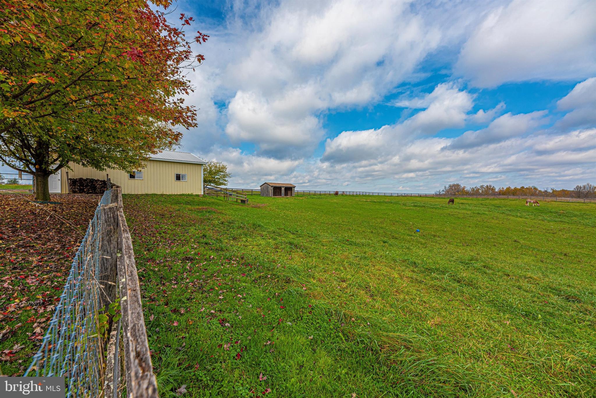 13101 Prices Distillery Road Clarksburg, MD 20871 - Photo 63 of 77 Gallery Image 63